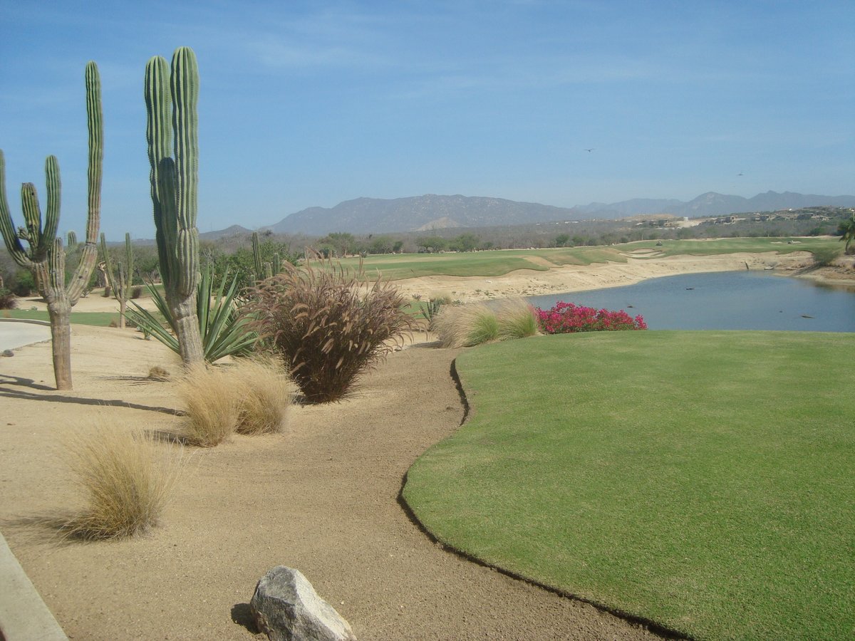 Palmilla Golf Club (San Jose del Cabo) All You Need to Know BEFORE You Go