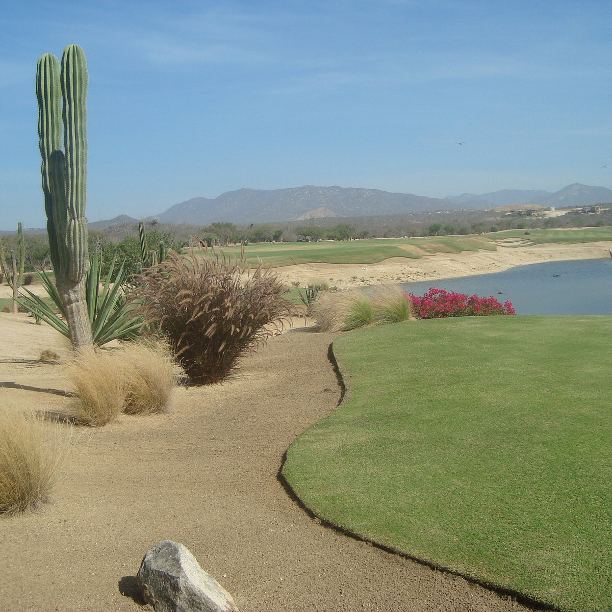Palmilla Golf Club (San Jose del Cabo) - All You Need to Know BEFORE You Go