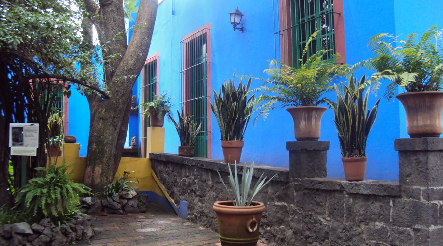 Casa Azul, patio