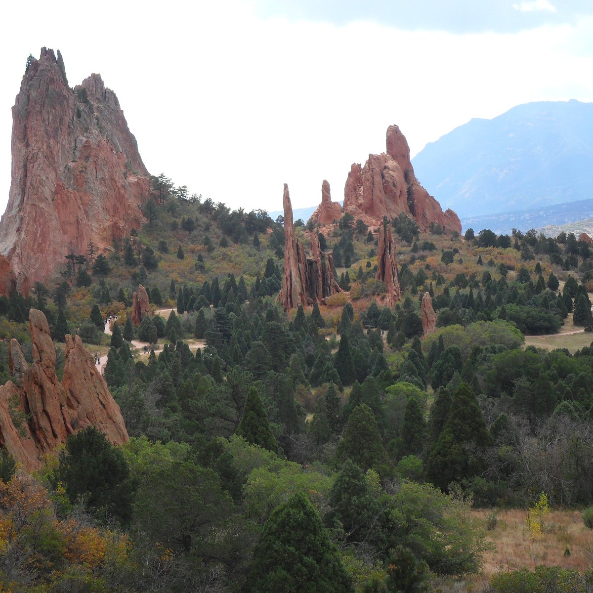 grey line denver tours