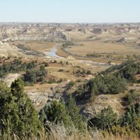 Petrified Forest Loop (Theodore Roosevelt National Park) - All You Need ...