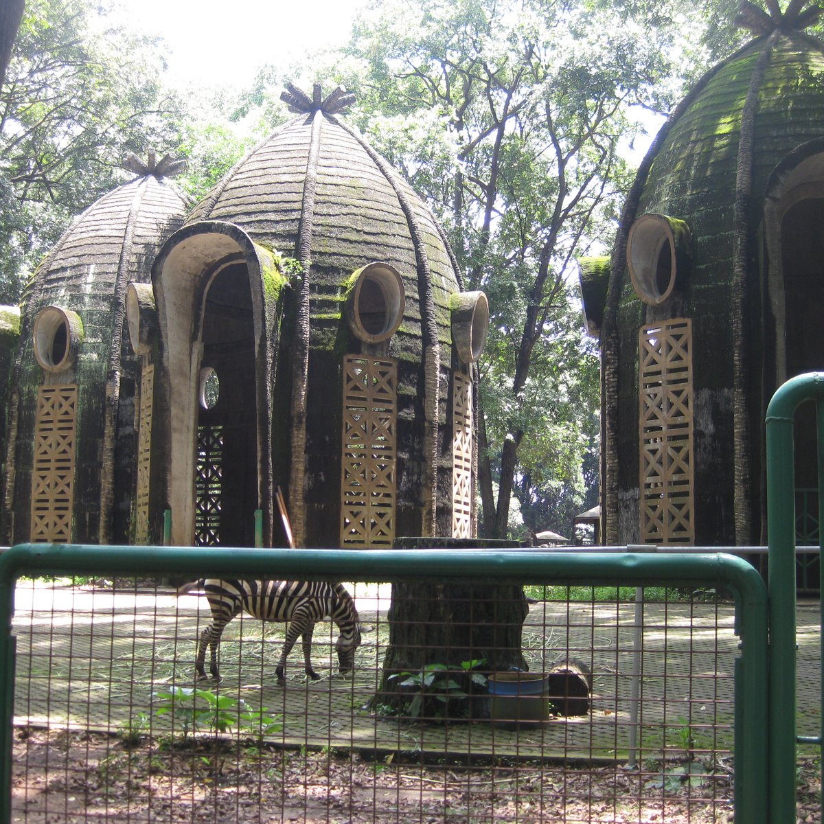 Ragunan Zoo (Jakarta) - 2021 All You Need to Know BEFORE You Go | Tours