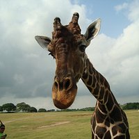 zoologico el solito