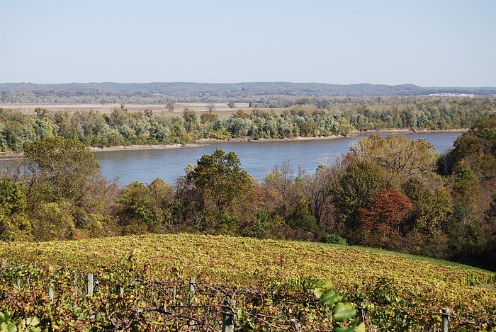 View from OakGlenn Winery