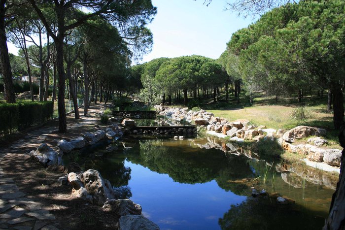 Praia Verde forest walk