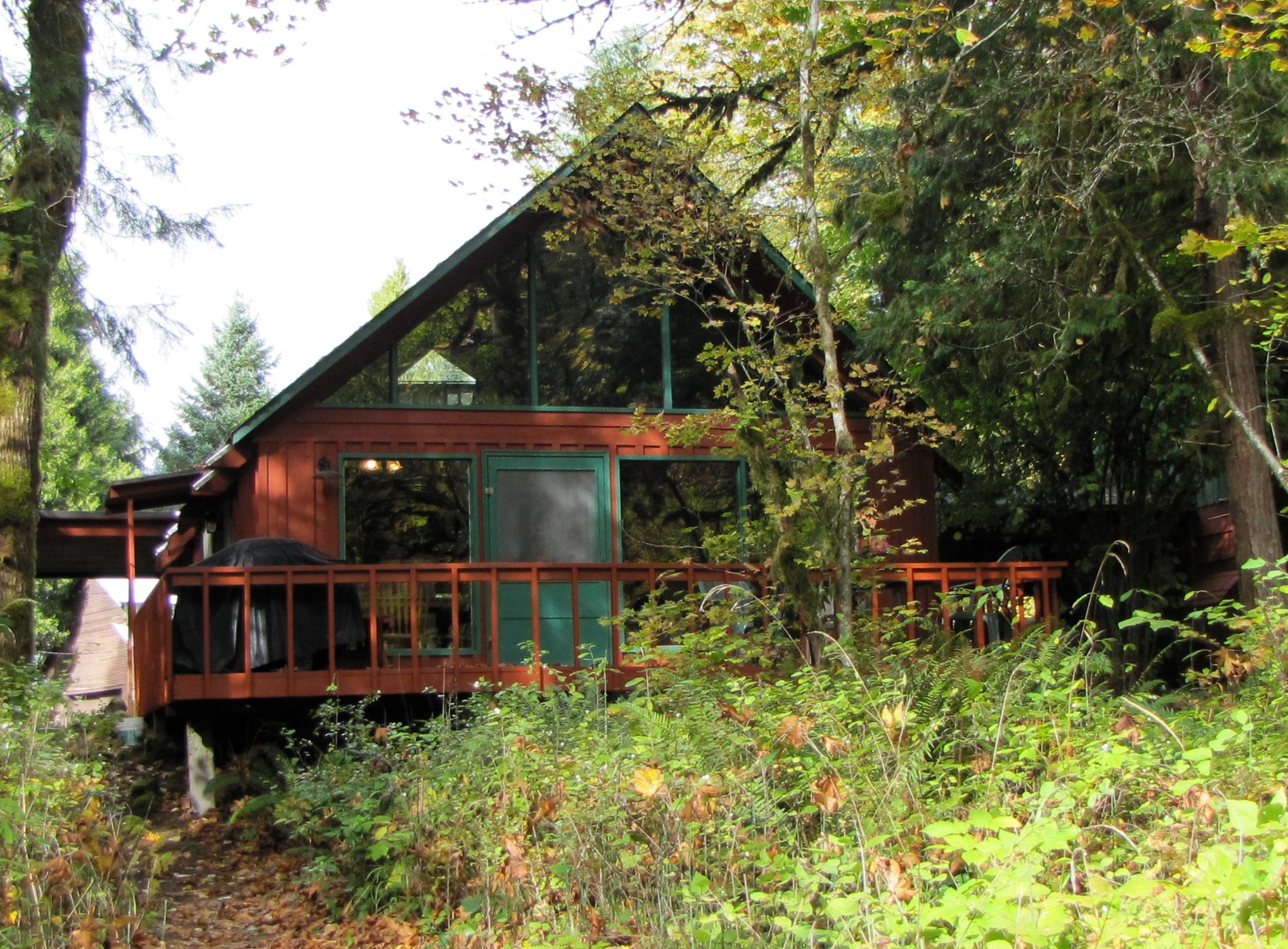 Caddisfly Resort by null