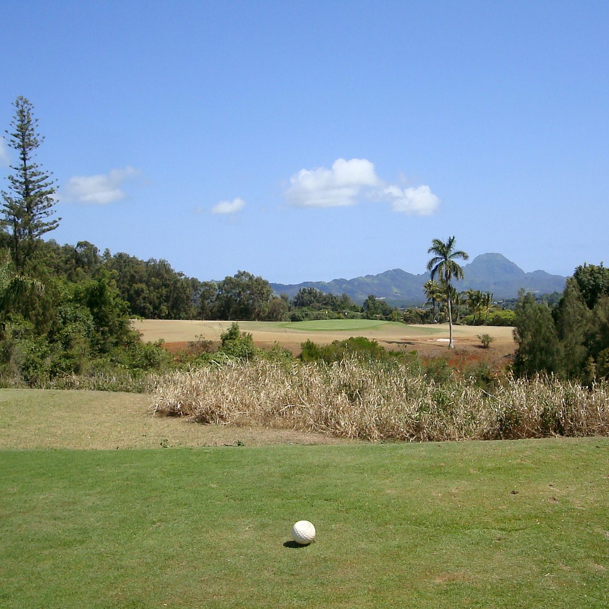 KUKUIOLONO GOLF COURSE (Kalaheo) 2023 What to Know BEFORE You Go