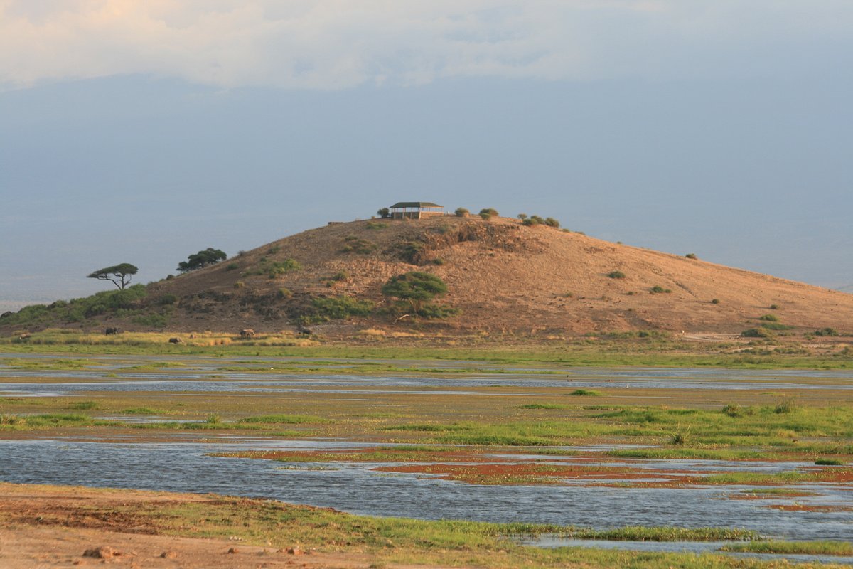 Monos ladrones: fotografía de Amboseli Serena Safari Lodge, Amboseli  National Park - Tripadvisor