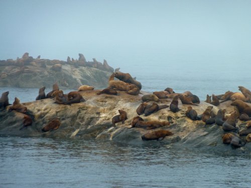 Glacier Bay National Park Preserve