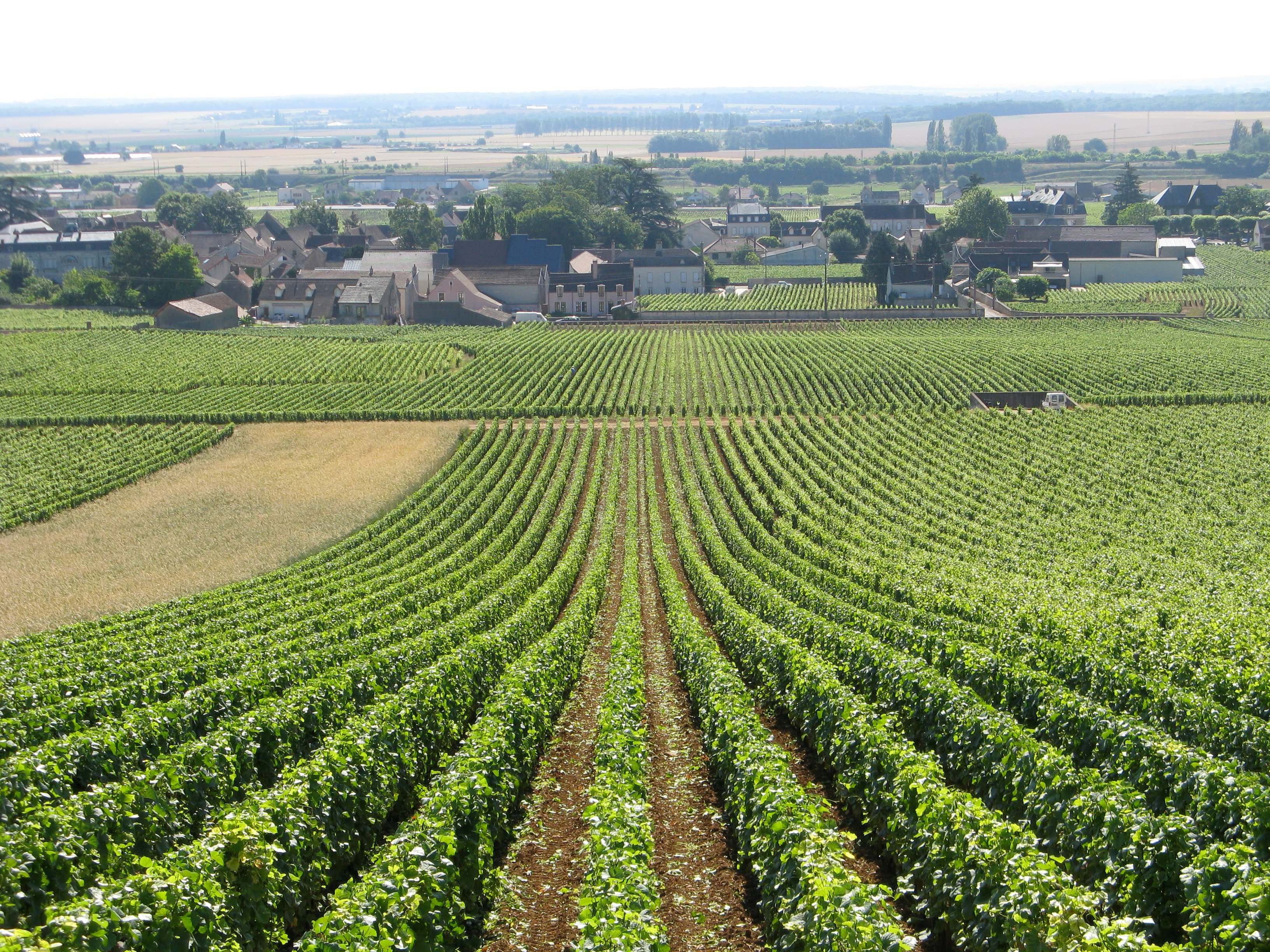 LES CAVES DE L'ABBAYE (Beaune): Ce Qu'il Faut Savoir Pour Votre Visite ...