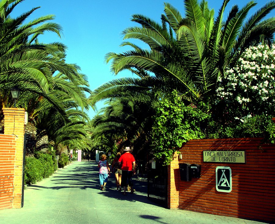 Camping Malvarrosa De Corinto Sagunto Provincia De Valencia Opiniones Y Fotos Del Campamento Tripadvisor