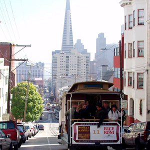 TOWER TOURS - SAN FRANCISCO SIGHTSEEING SPECIALIST - 2022 What to Know ...