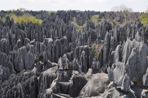 Tsingy de Bemaraha National Park review images