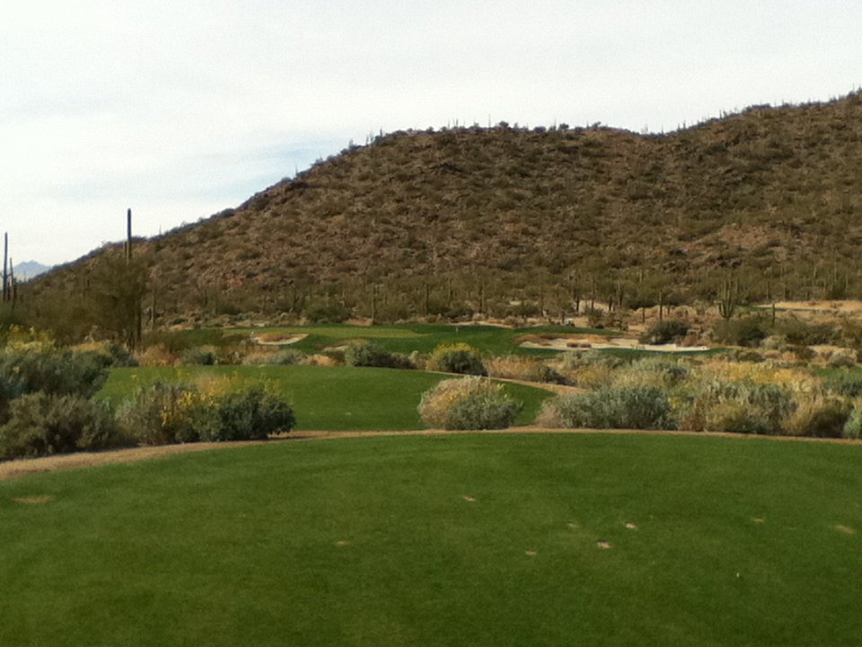 Dove mountain