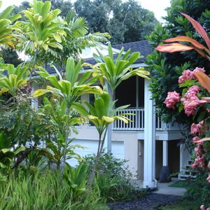 Ohana Cottage at Papalani