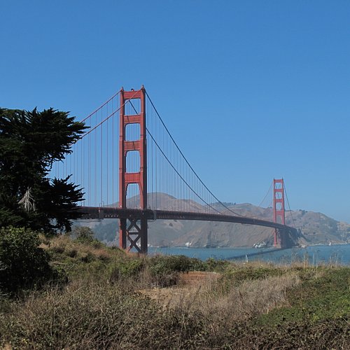 THE BEST San Francisco Mini Golf (Updated 2024) - Tripadvisor