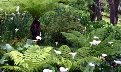 Jardins des Martels