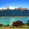 Things To Do in Pesca Patagonica, Restaurants in Pesca Patagonica