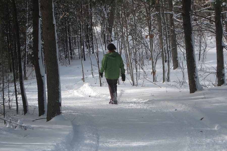Beech Hill X-Country Ski & Snowshoe Center image