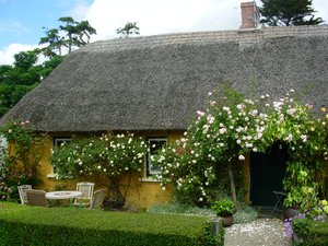 Room & Suite