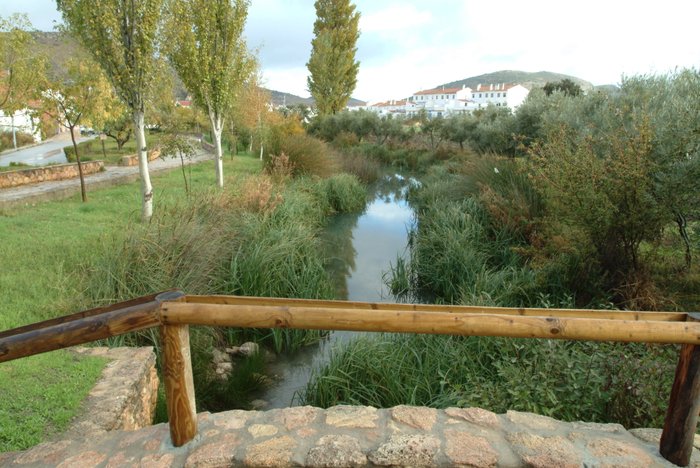 Nacimiento de Cuevas del Becerro [--]