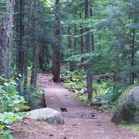 On the trail