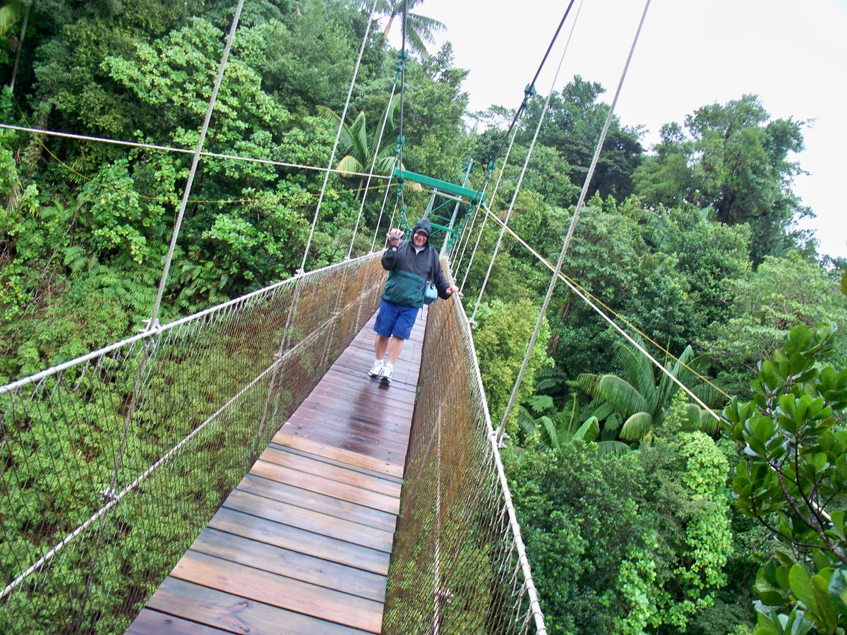 Dominica Aerial Tramway - All You Need To Know Before You Go (2024)