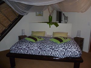 Zebra Room