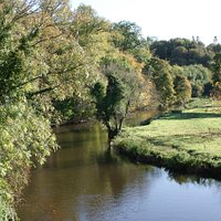 Belvoir Park Forest fringing the edge of the Lagan River