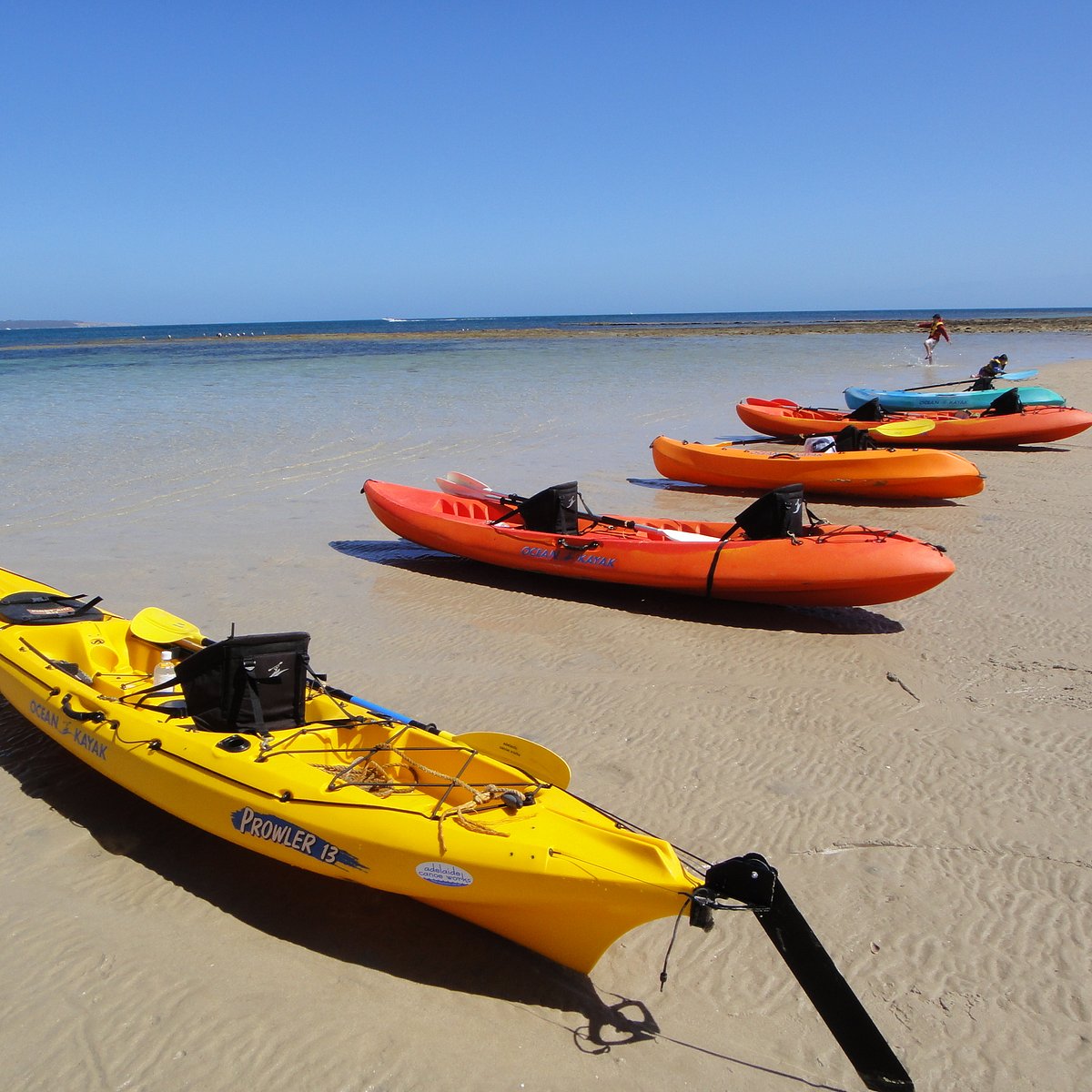 kayak tours kangaroo island