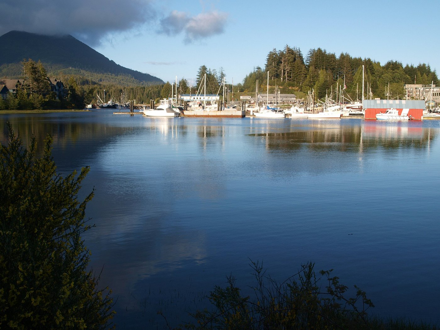 UCLUELET CAMPGROUND - Reviews (British Columbia)