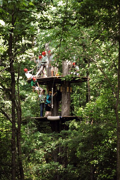 North Georgia Canopy Tours image