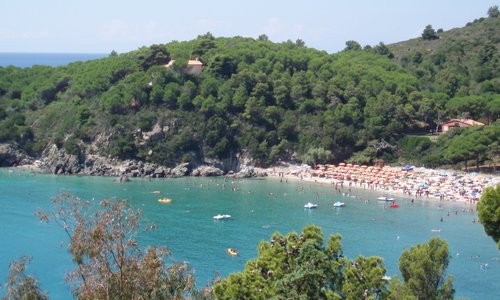 fetovaia