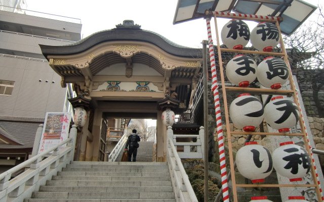湯島天神　梅祭り