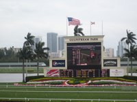 gulfstream park hallandale beach gulfstream park yorumlari tripadvisor