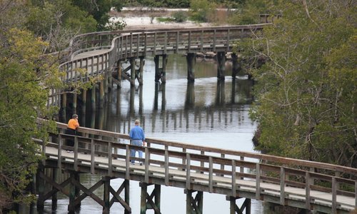 One of the longest bridges at Robinson Preserve