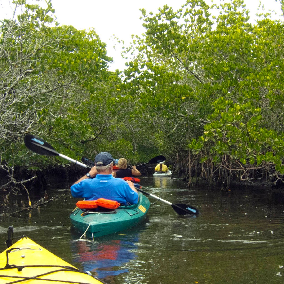 GAEA Guides Guided Kayak Nature Tours (Fort Myers) All You Need to