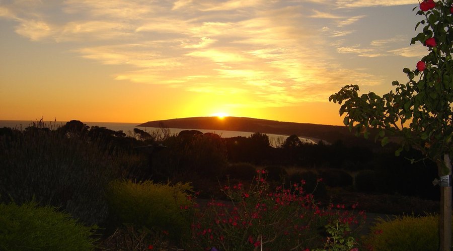 Sunrise