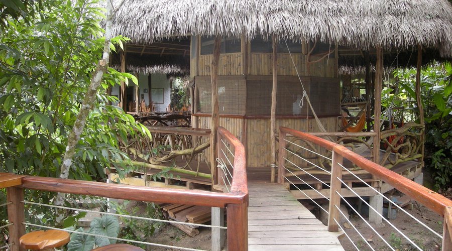 View from the bar towards the restaurant