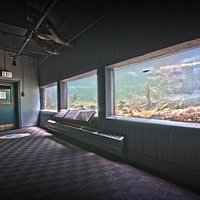 Panoramic windows looking into a stream.