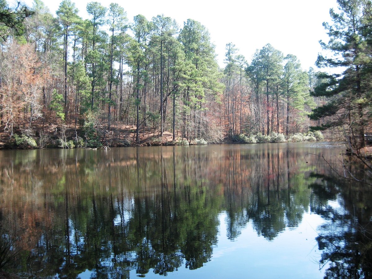 Logoly State Park: Your Gateway To Untamed Beauty And Outdoor Adventure