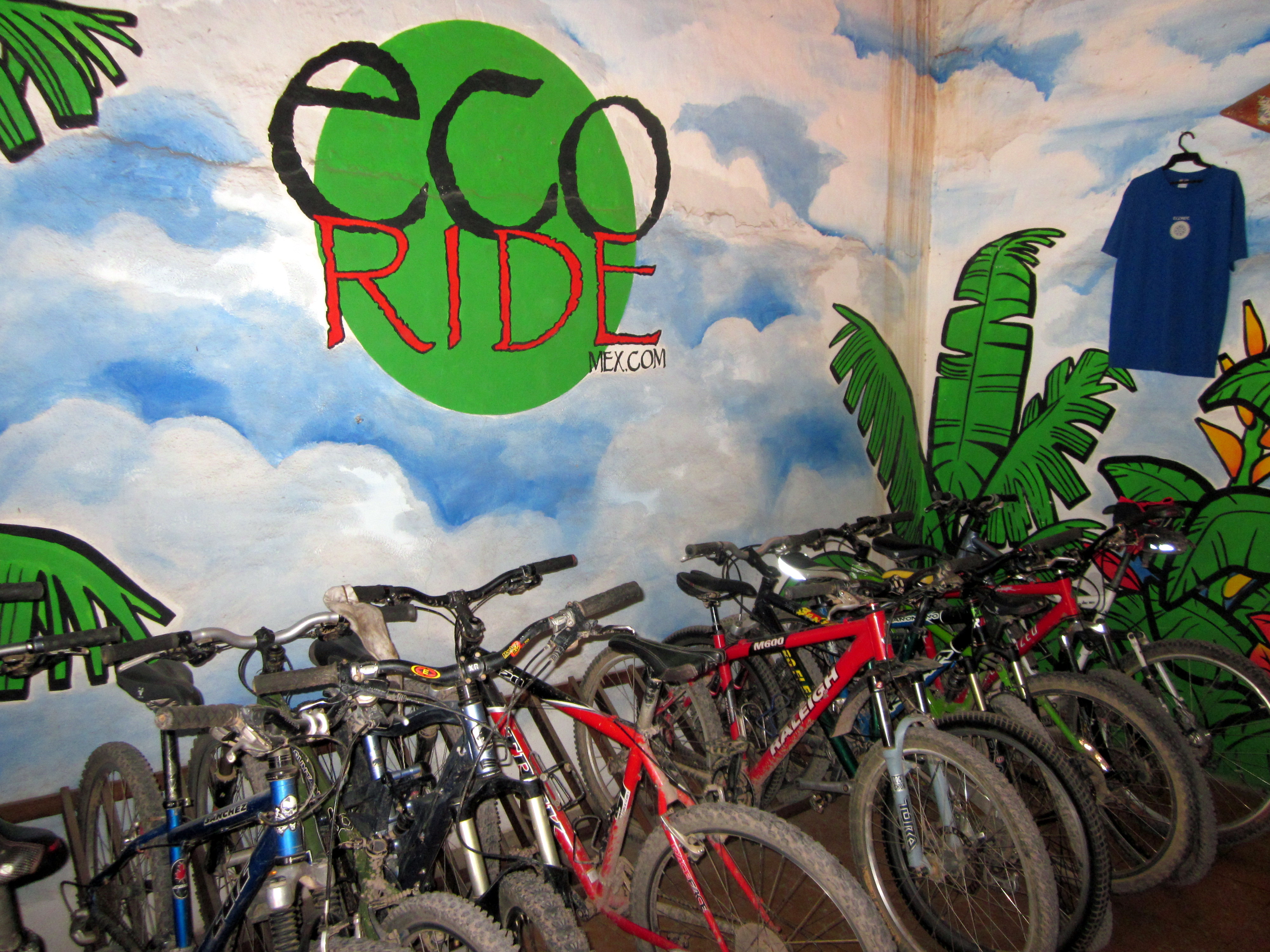 ECO RIDE MOUNTAIN BIKE and HIKING TOURS Tutto quello che cè da sapere (AGGIORNATO 2023)