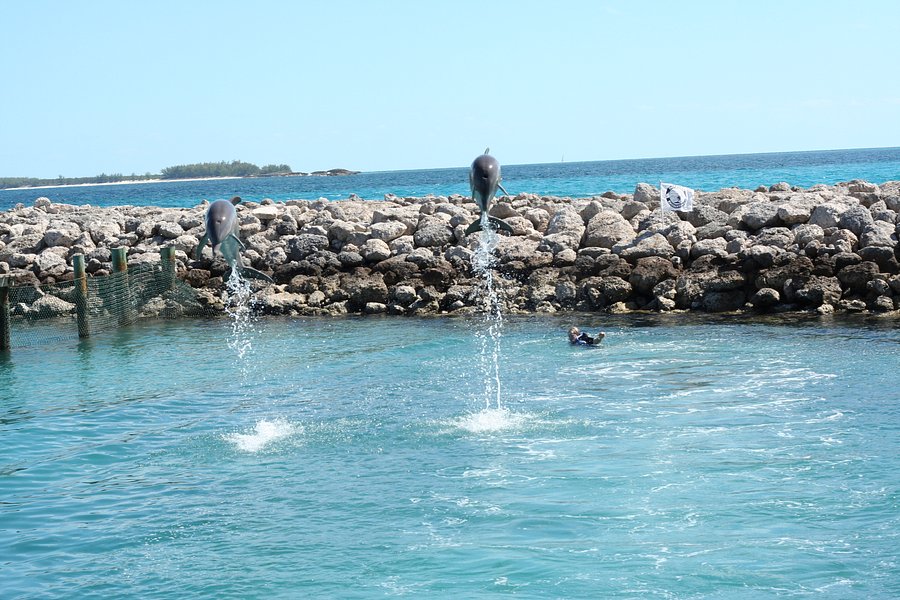 blue lagoon island tours