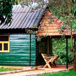 Winter Greens Resort