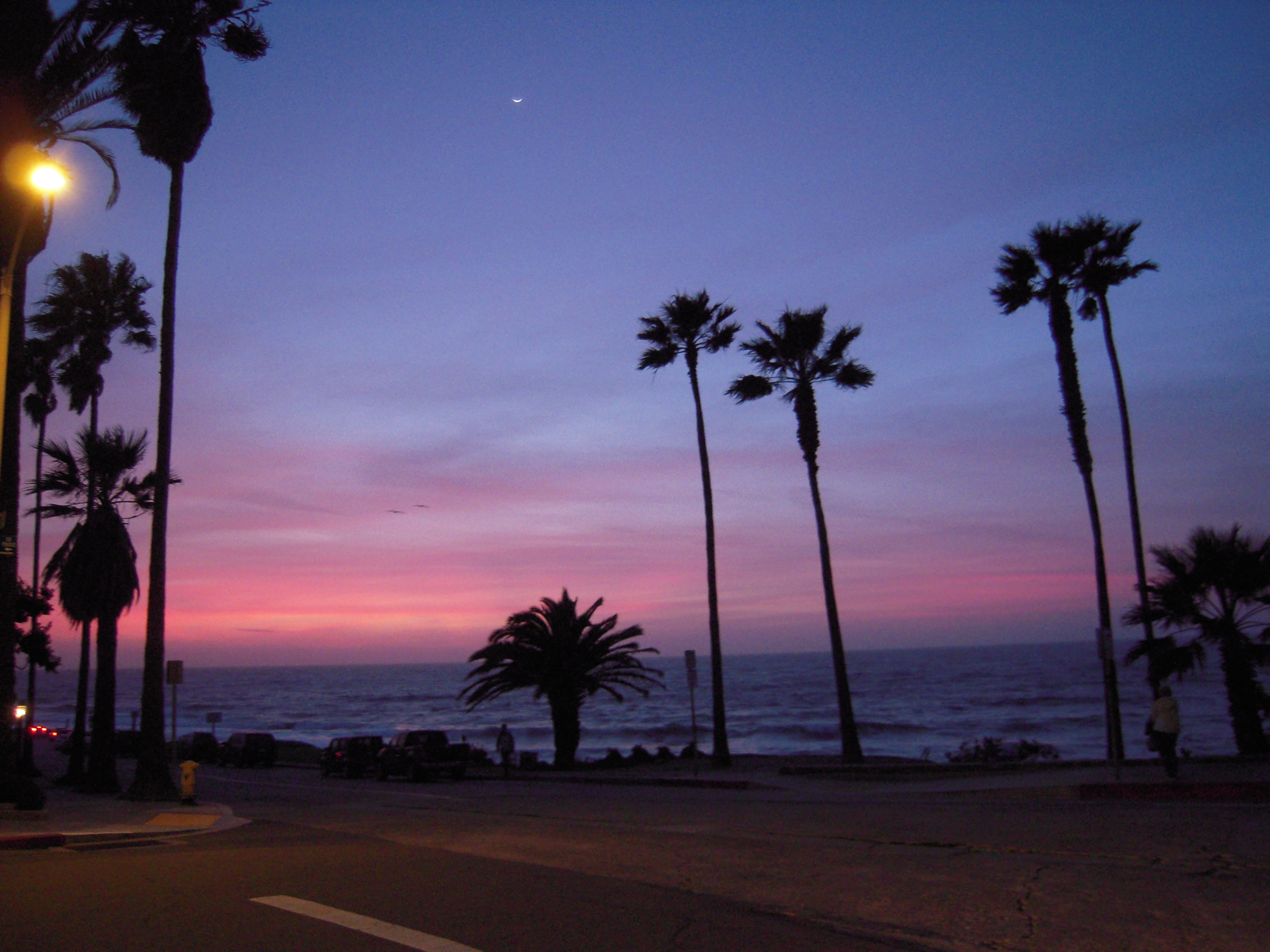 THE 15 BEST Things To Do In San Diego 2024 With Photos Tripadvisor   Beautiful Sunset To Conclude 