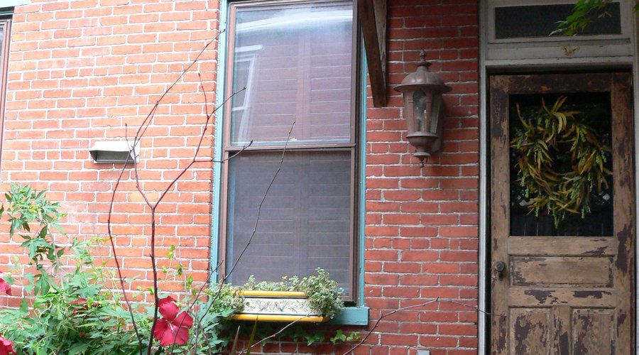 A View From Our Lovely Courtyard