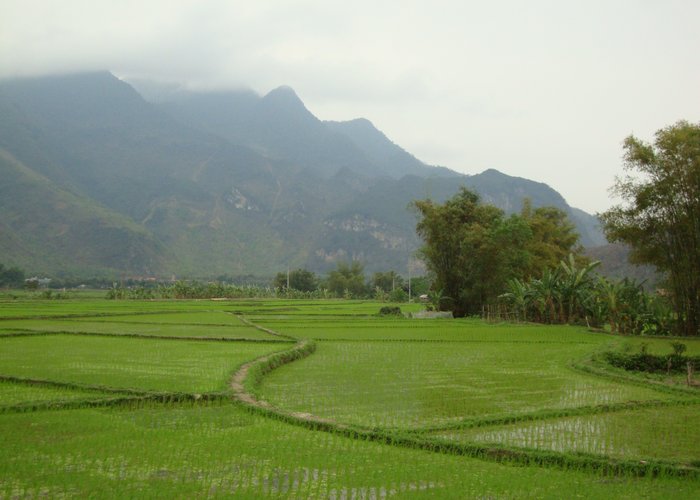 Nice landscape