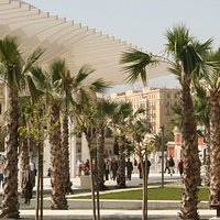 Vista del palmeral