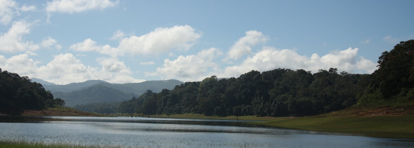 View of the park
