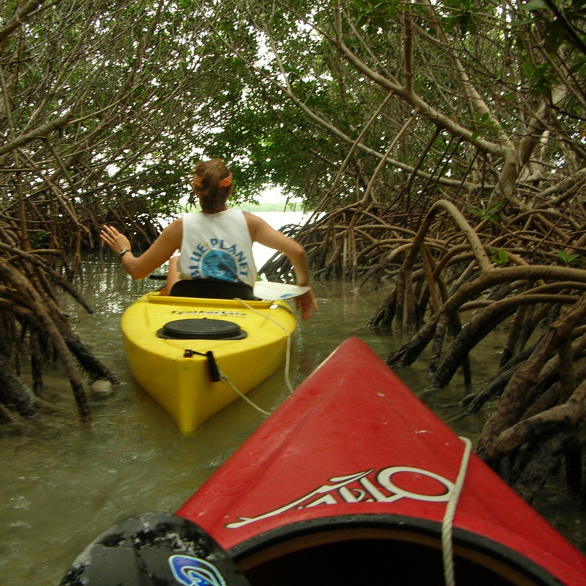 blue planet kayak tours key west